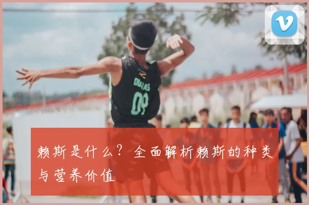 赖斯是什么？全面解析赖斯的种类与营养价值